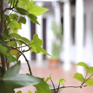 Apartamento Adanar-las Columnas 